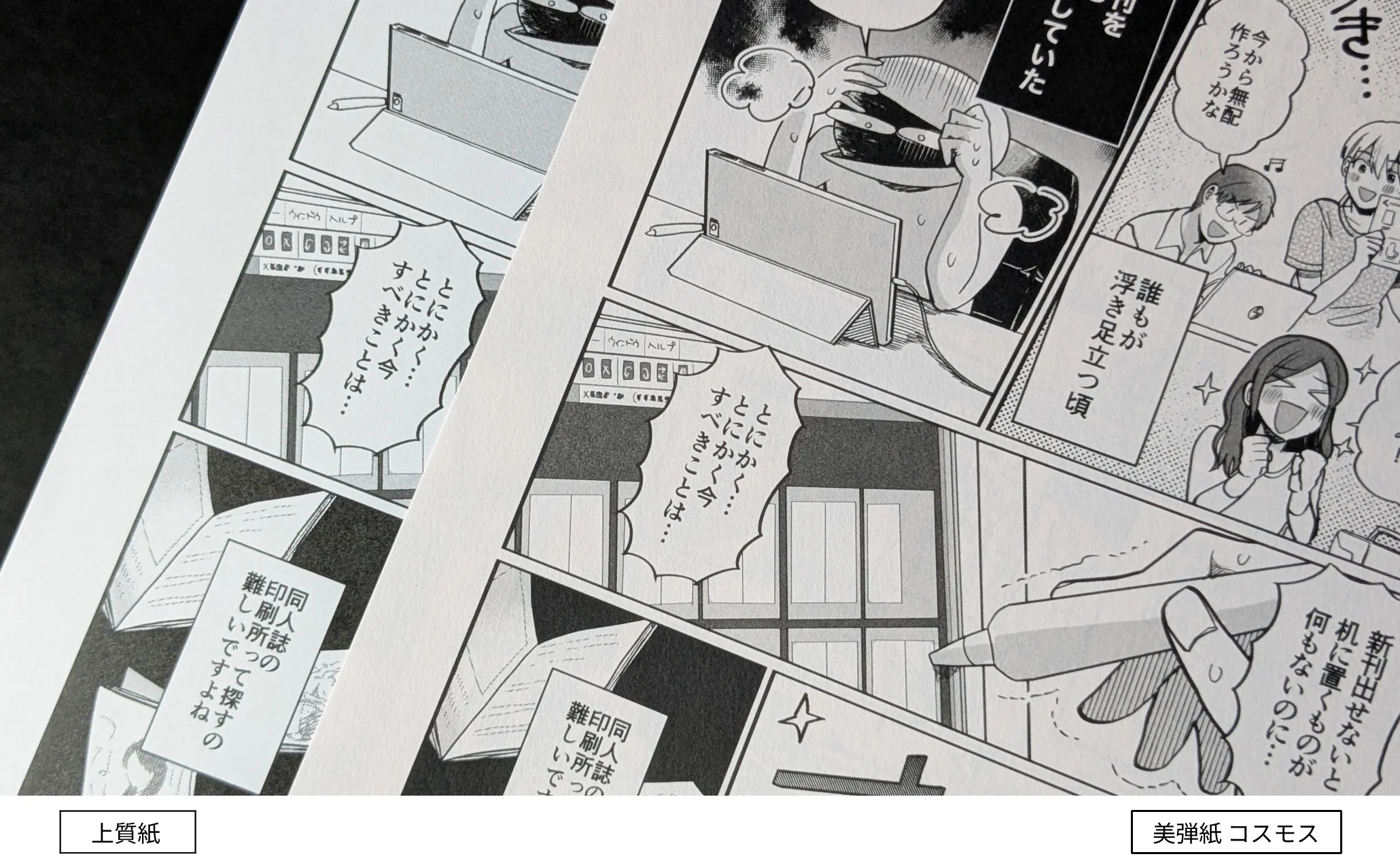 美弾紙 コスモス