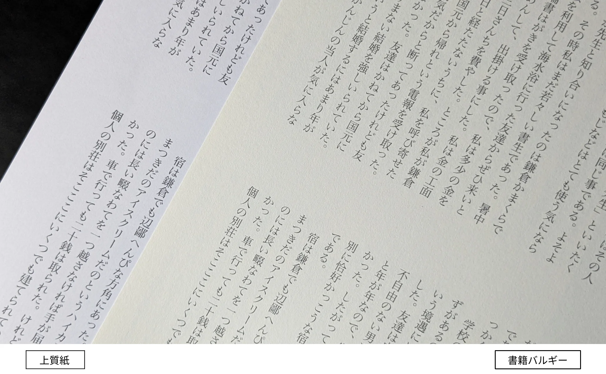 書籍バルギー