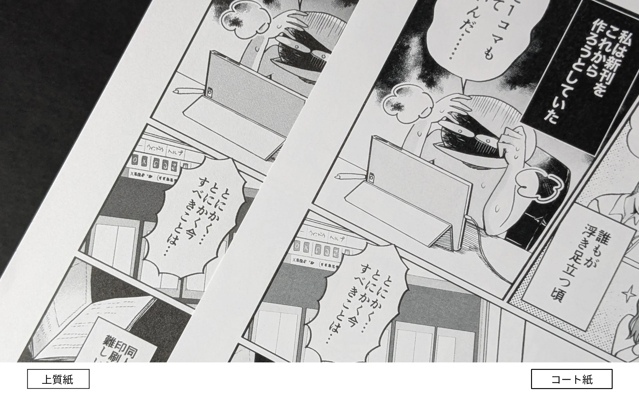 コート紙