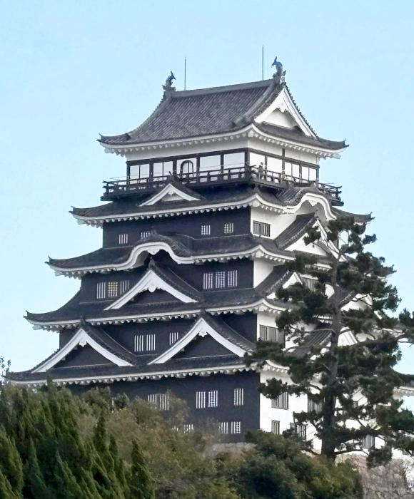 全国でも珍しい鉄板張りの天守が見られるお城